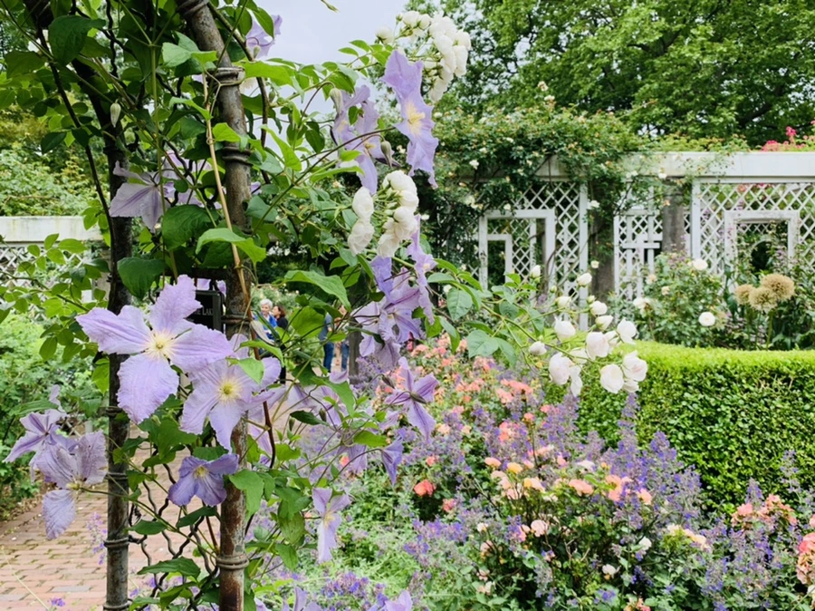 IMG_2768.jpg?type=w966