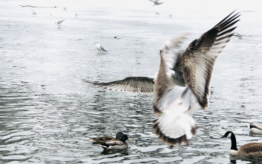 IMG_5865.jpg?type=w966