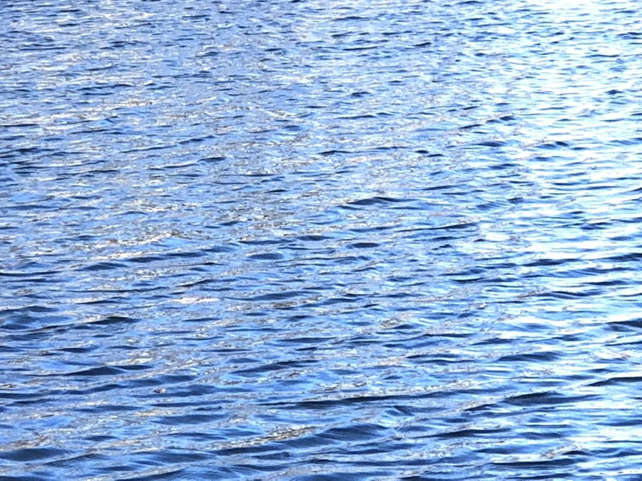 IMG_3851.jpg?type=w966