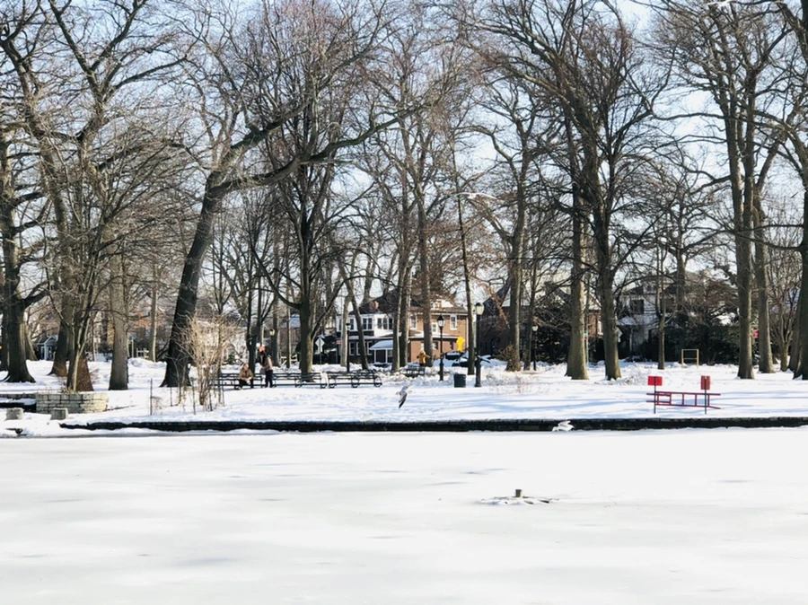 IMG_0304.jpg?type=w966