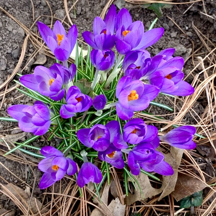 IMG_1251.jpg?type=w966