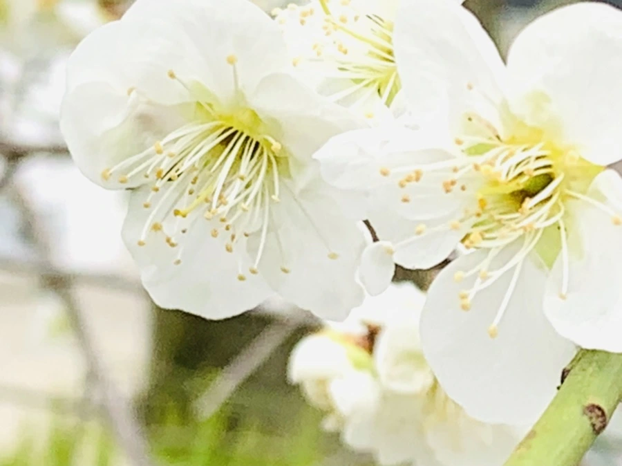 IMG_3674.jpg?type=w966