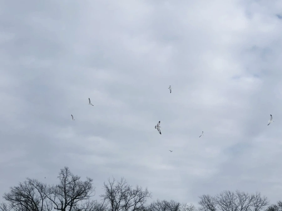 IMG_2379.jpg?type=w966