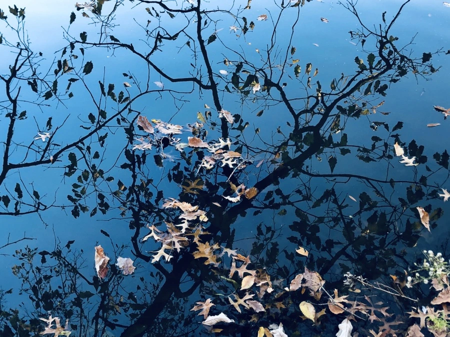 IMG_3572.jpg?type=w966