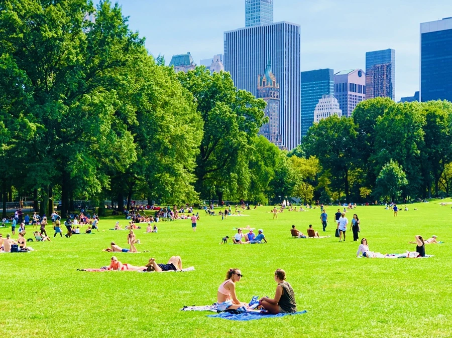 IMG_9495.jpg?type=w966