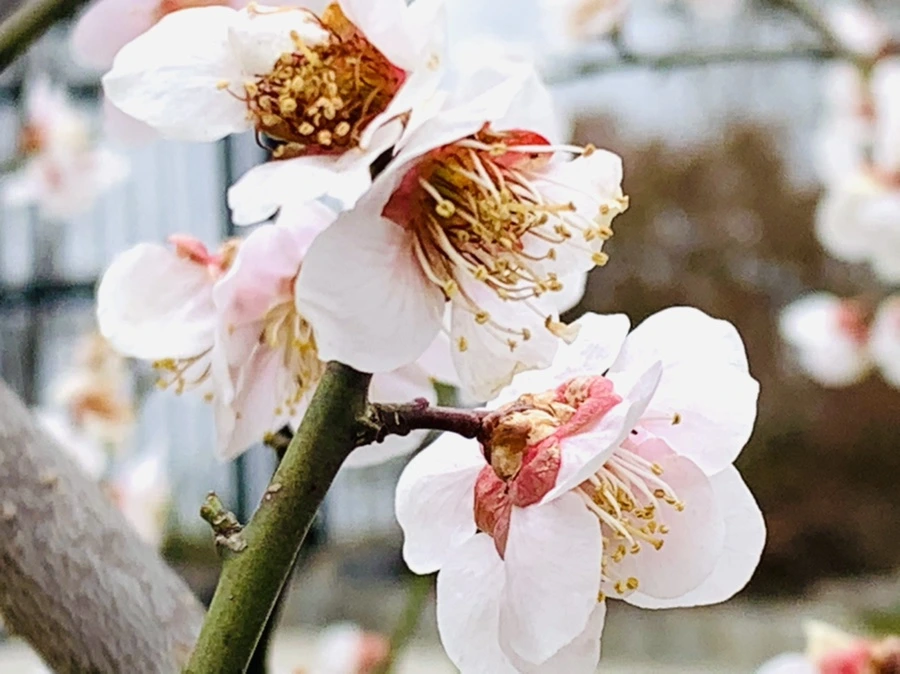 IMG_3586.jpg?type=w966