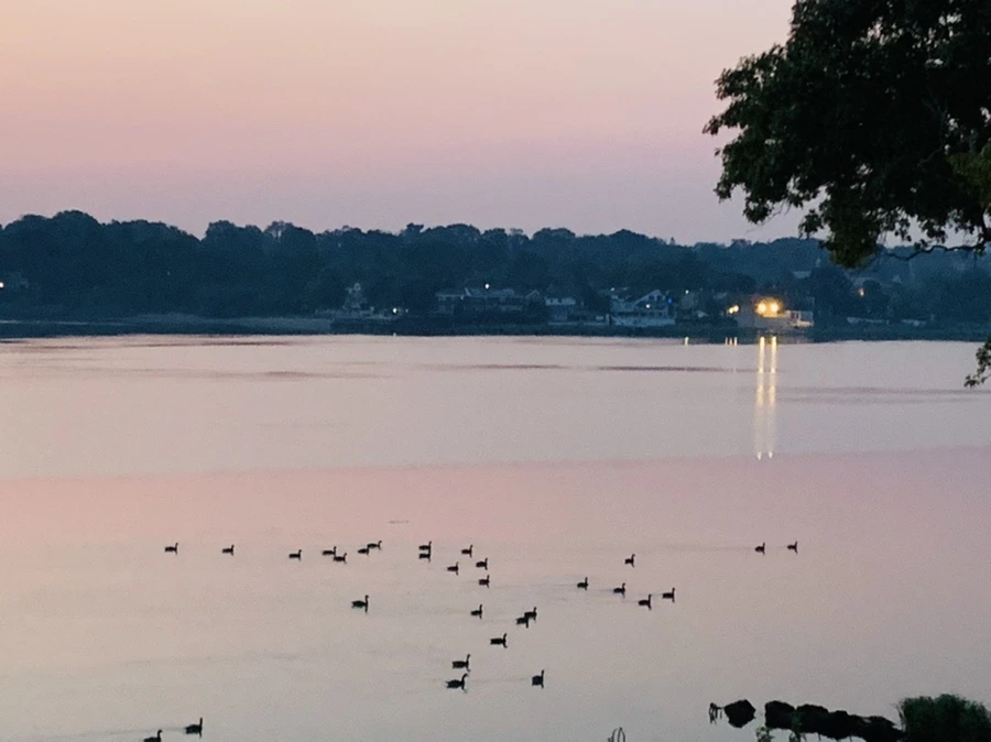 IMG_1820.jpg?type=w966