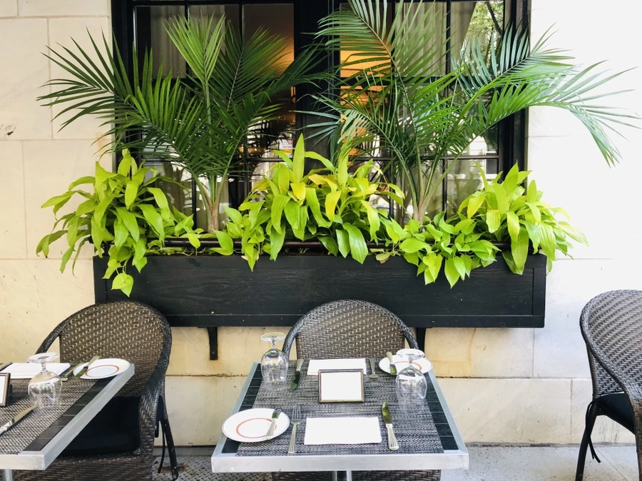 IMG_7696.jpg?type=w966