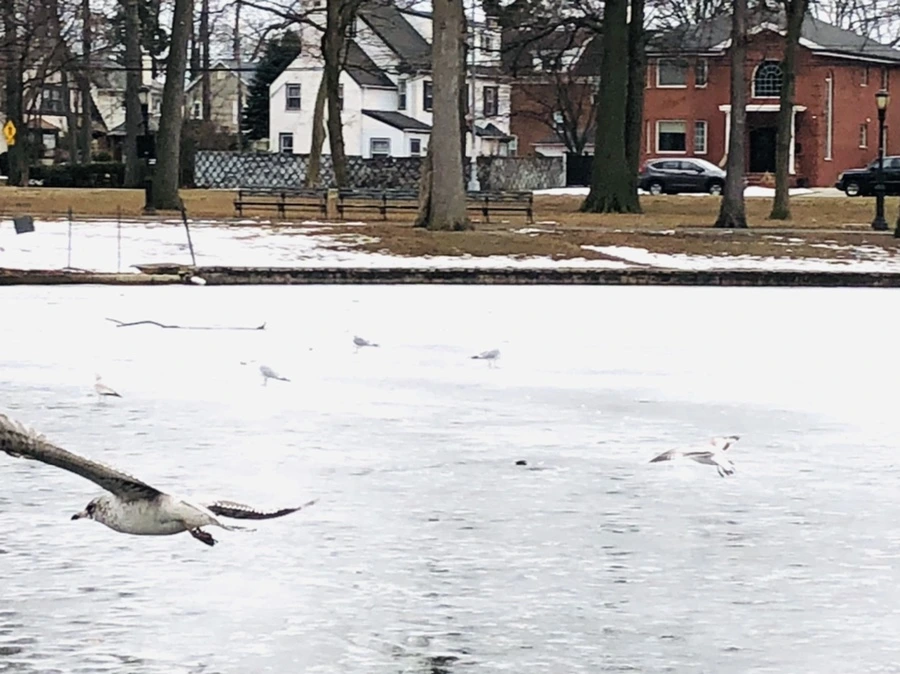 IMG_5931.jpg?type=w966