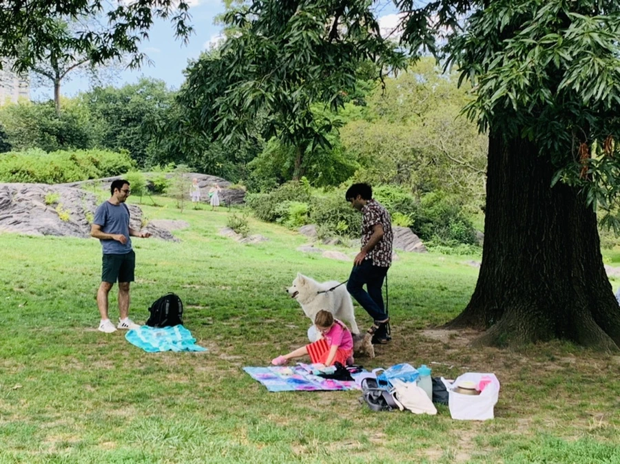 IMG_1579.jpg?type=w966