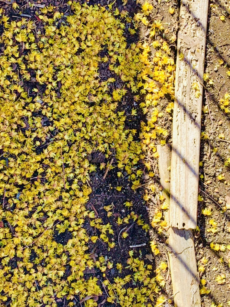 IMG_2578.jpg?type=w966