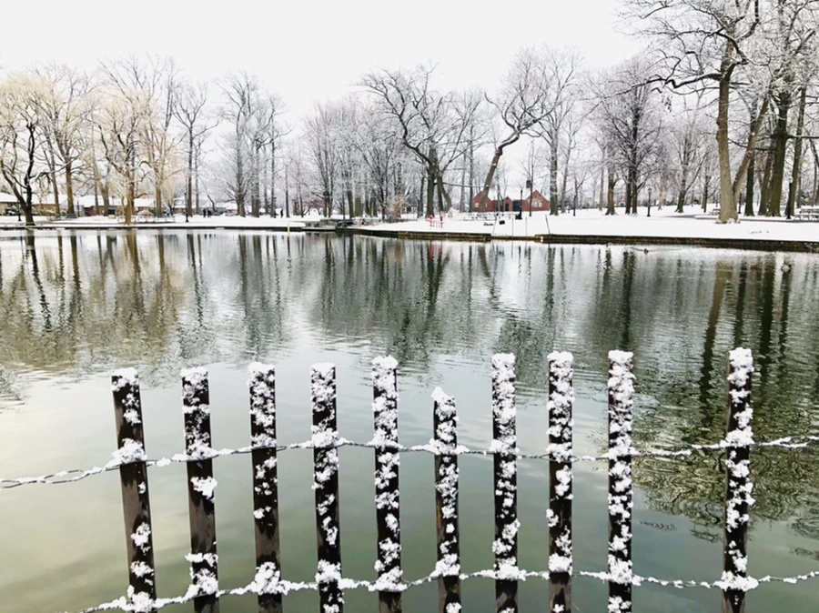 IMG_4482.jpg?type=w966