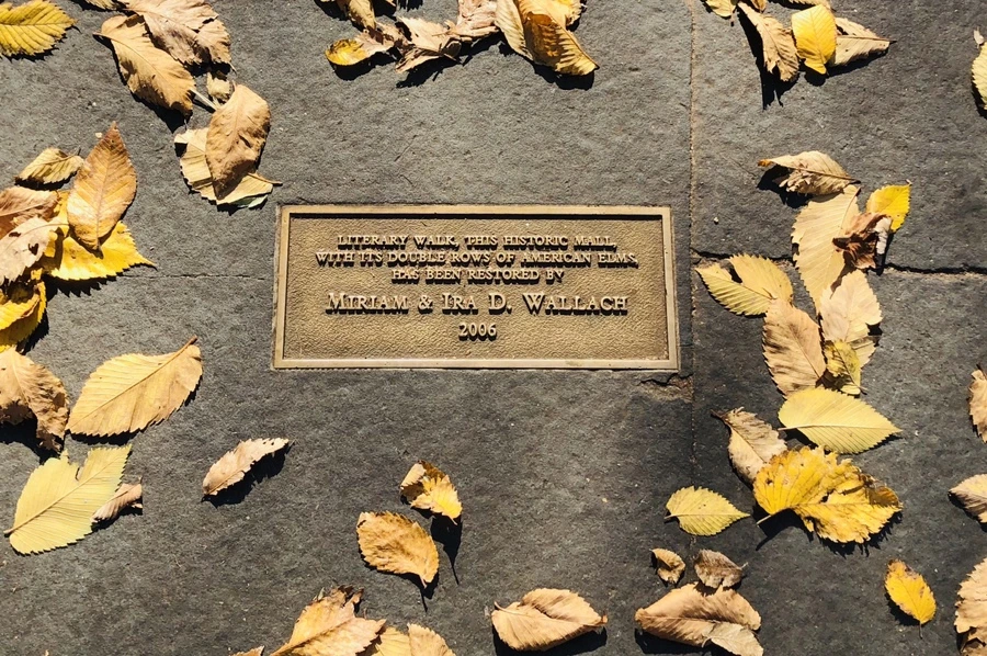 IMG_4279.jpg?type=w966