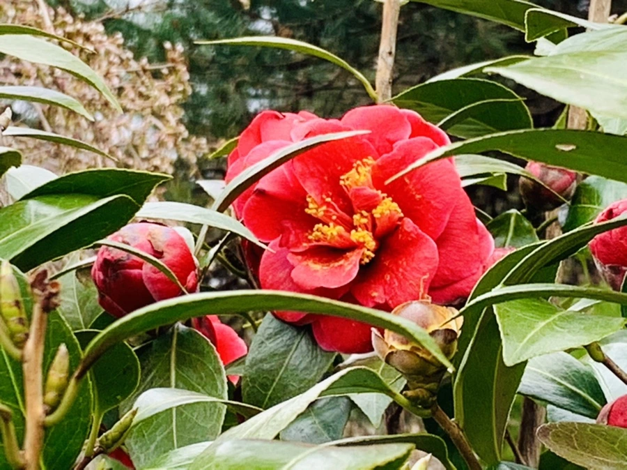 IMG_6627.jpg?type=w966