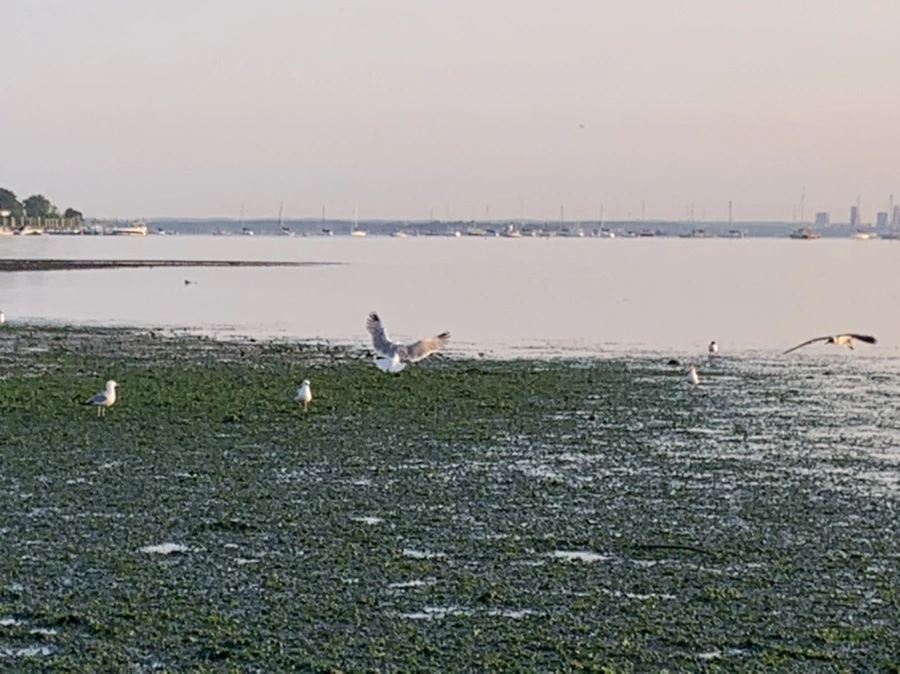 IMG_9608.jpg?type=w966