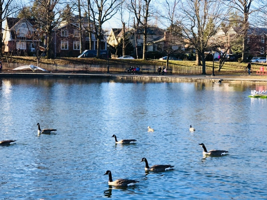 IMG_9309.jpg?type=w966