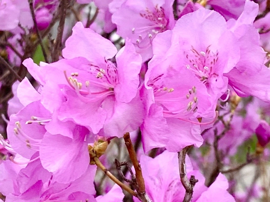 sI6mqvCOlVCQviHcJL2mMBfR9_Q