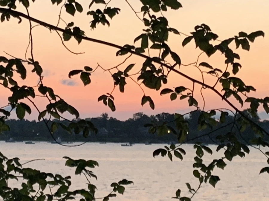 IMG_5319.jpg?type=w966