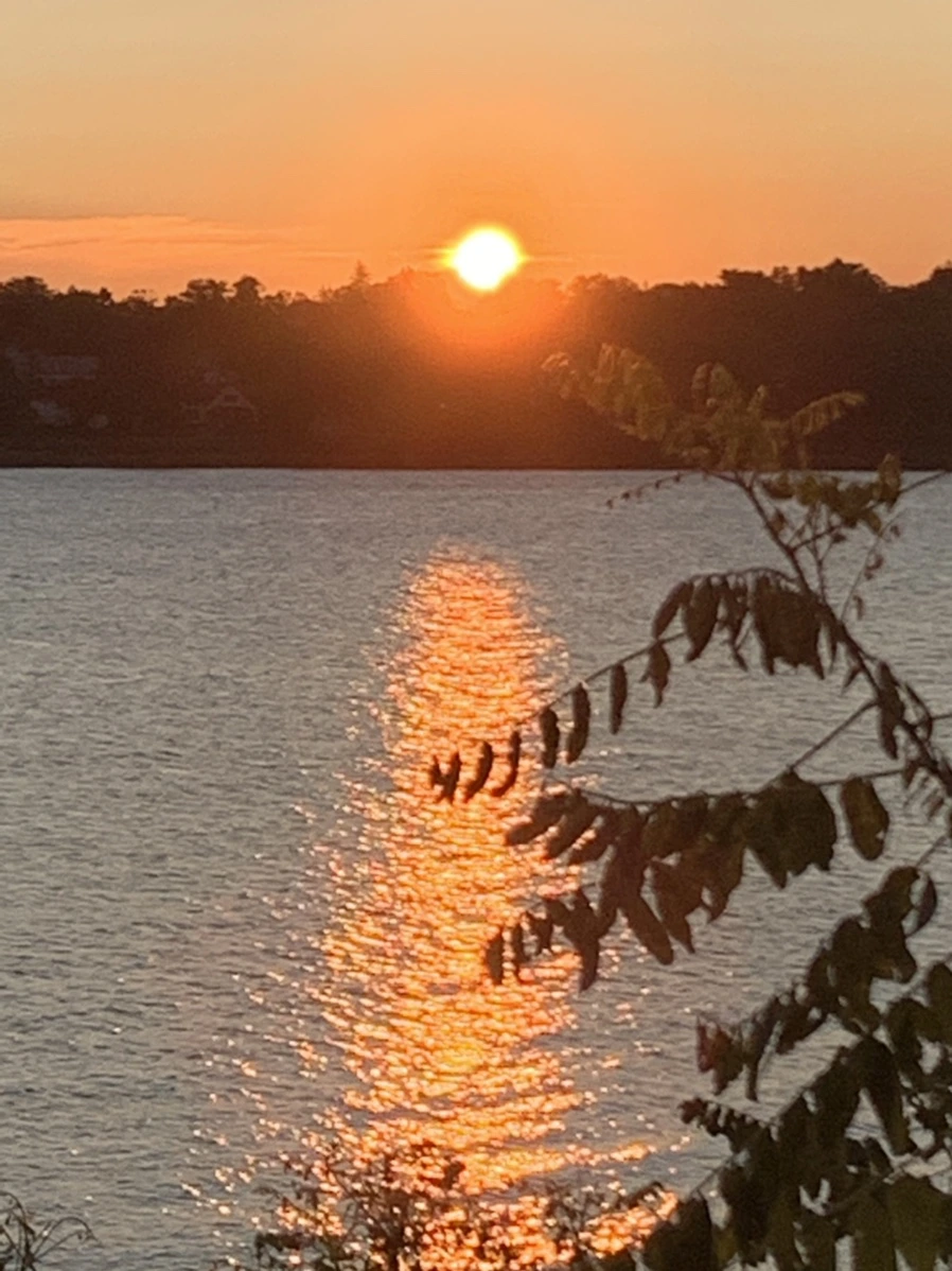 IMG_9562.jpg?type=w966