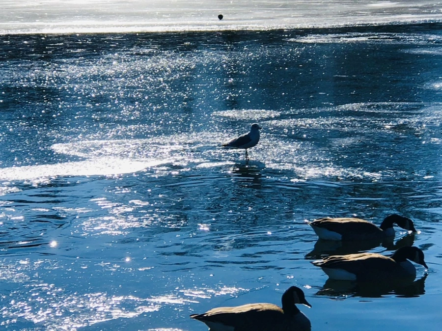 IMG_8077.jpg?type=w966