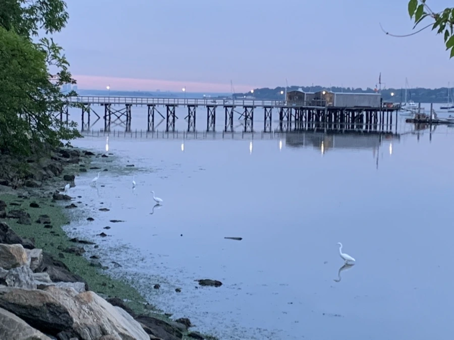 IMG_6250.jpg?type=w966