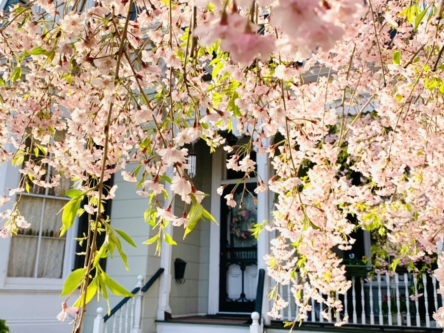 IMG_3733.jpg?type=w966