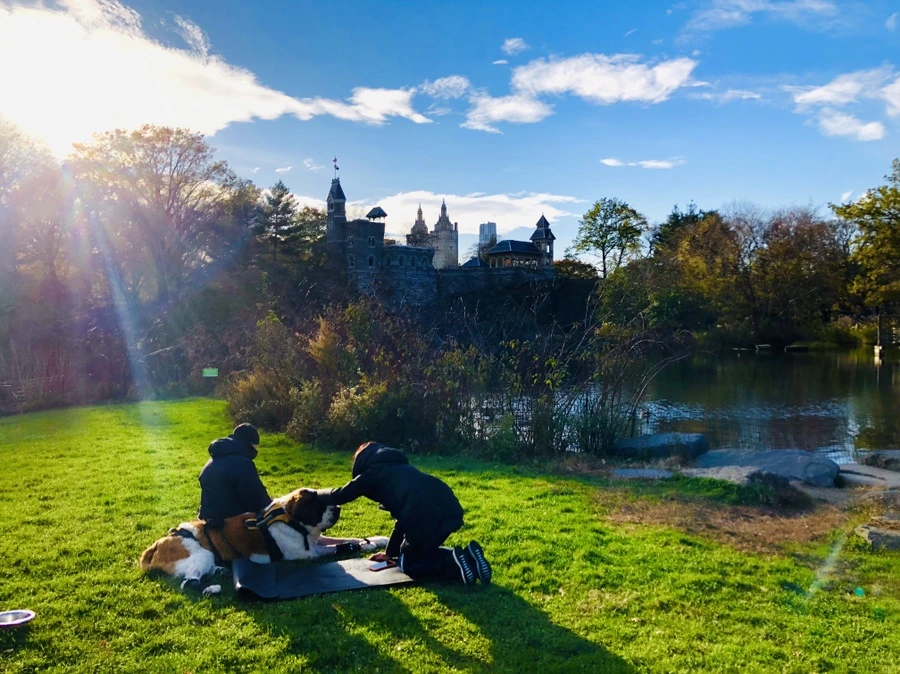 IMG_5005.jpg?type=w966