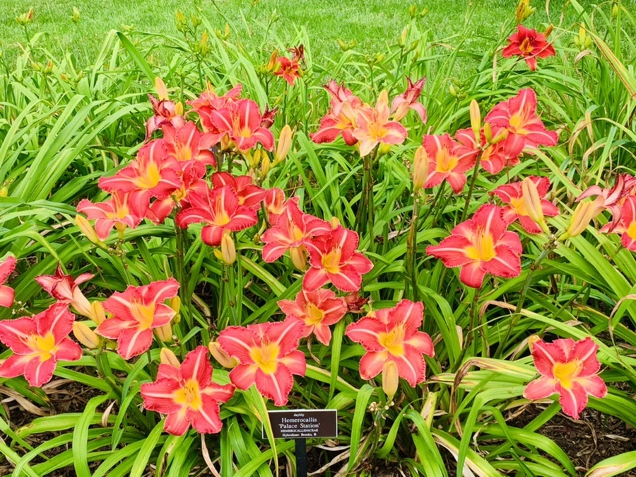 IMG_2600.jpg?type=w966