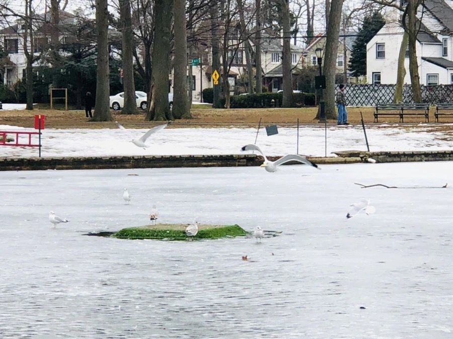 IMG_5937.jpg?type=w966