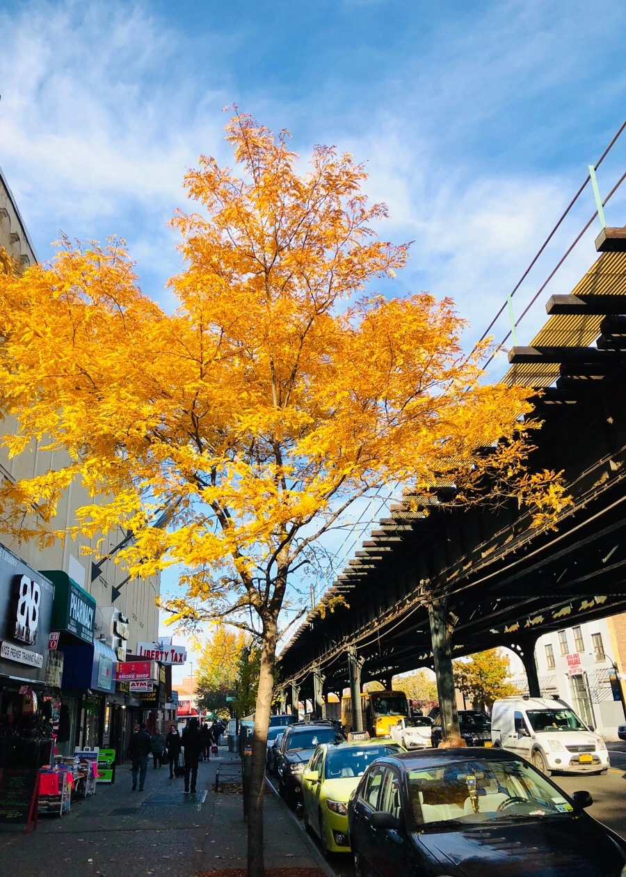 IMG_7735.jpg?type=w966