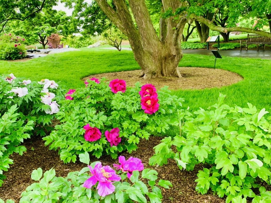 IMG_9955.jpg?type=w966