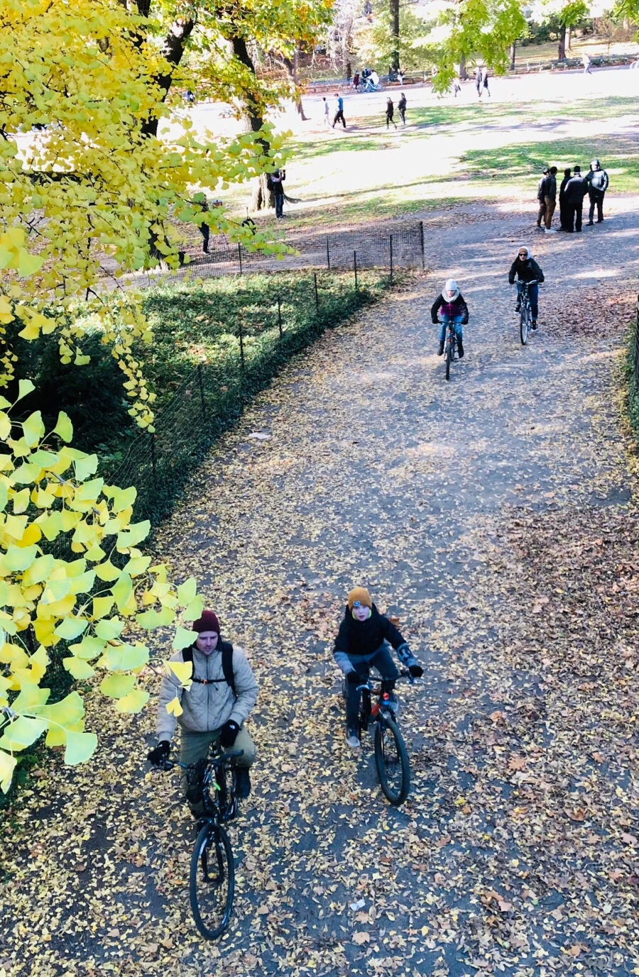 IMG_7650.jpg?type=w966