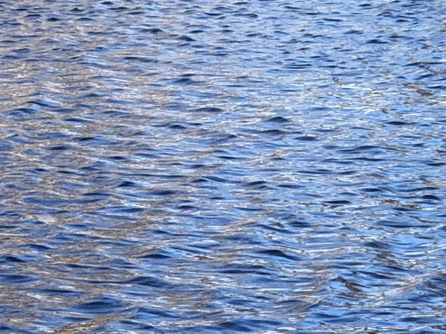 IMG_3765.jpg?type=w966