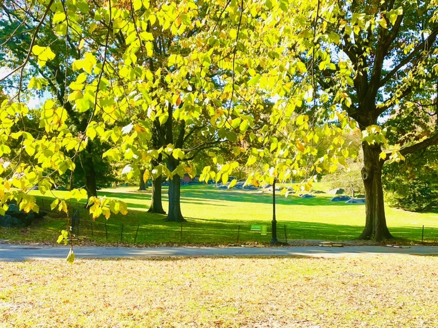 IMG_1679.jpg?type=w966