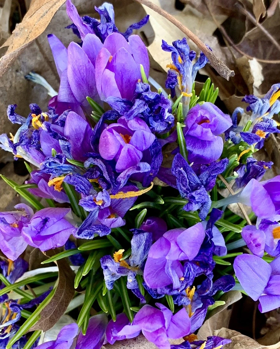 GrYHeN57wJpTSpmUKagPRiHrCmY