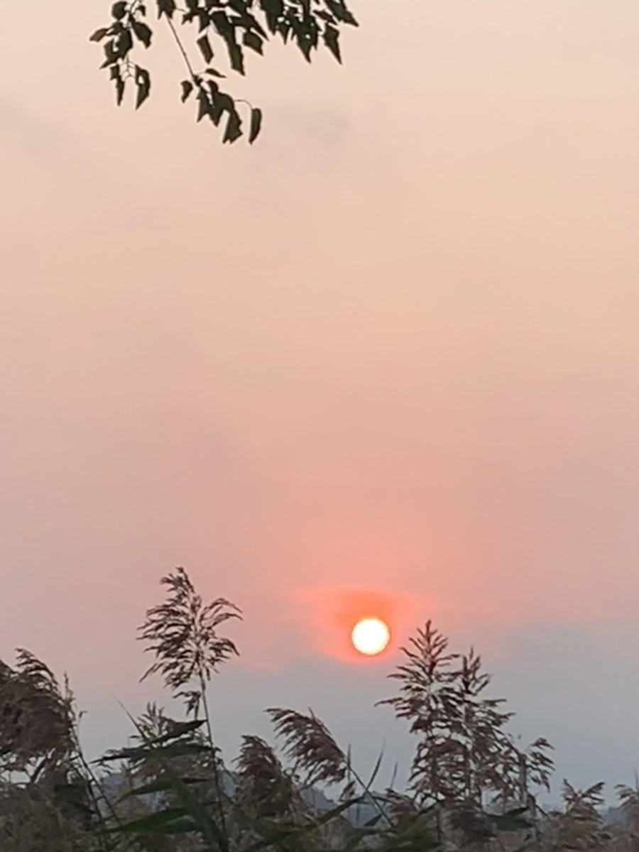 IMG_1113.jpg?type=w966