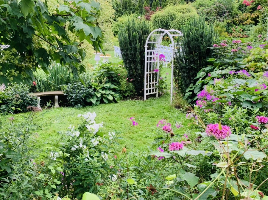 IMG_1031.jpg?type=w966