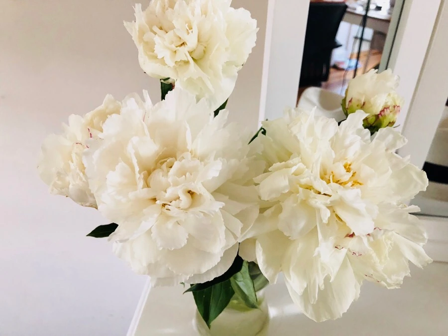 IMG_6441.jpg?type=w966