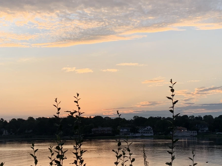 IMG_1225.jpg?type=w966