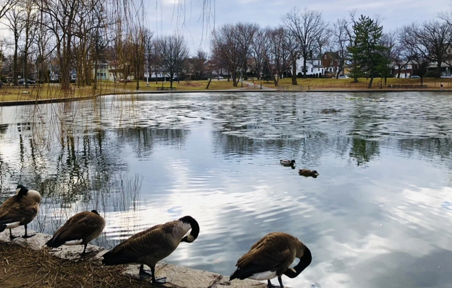 IMG_5059.jpg?type=w966