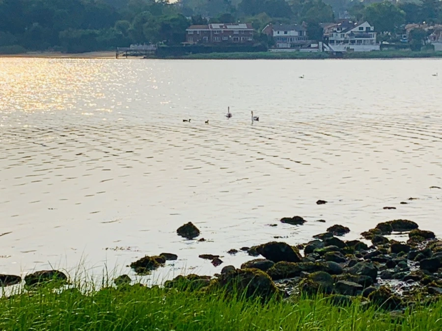 IMG_2261.jpg?type=w966