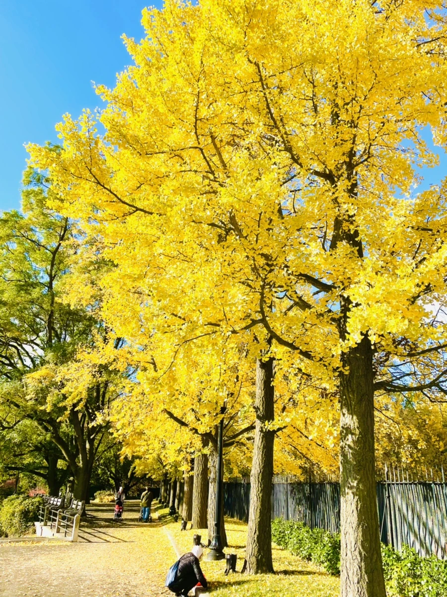 IMG_3195.jpg?type=w966