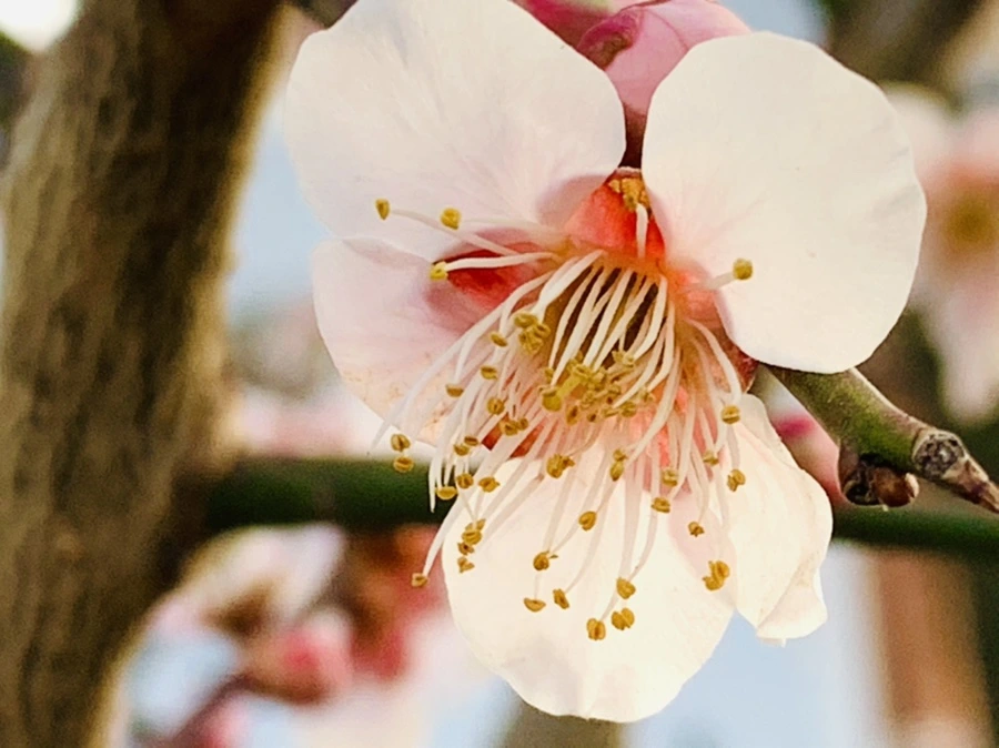 IMG_2804.jpg?type=w966