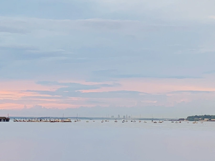 IMG_3065.jpg?type=w966