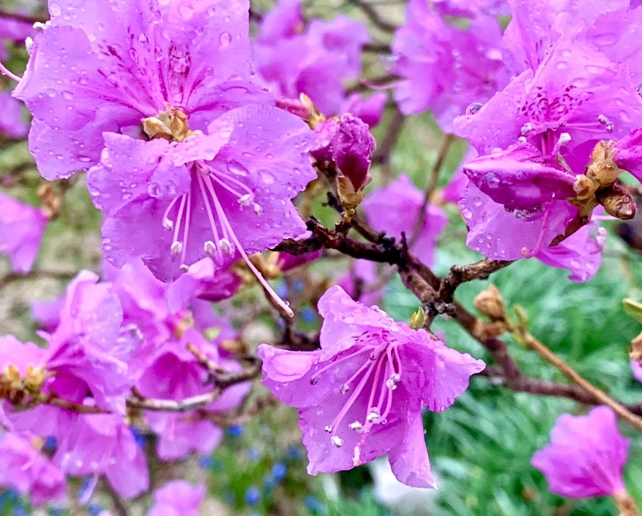 IMG_4920.jpg?type=w966