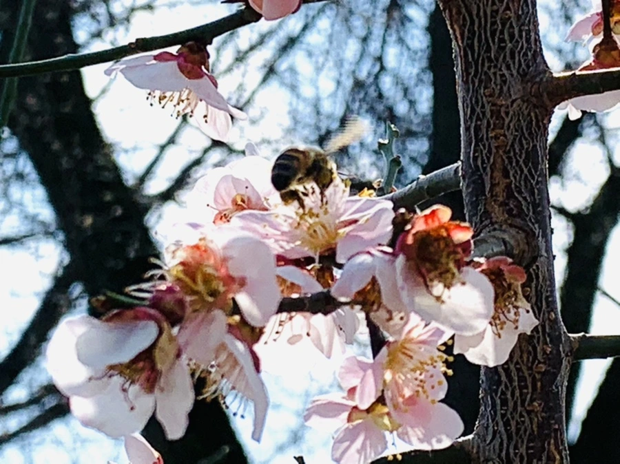 IMG_4214.jpg?type=w966