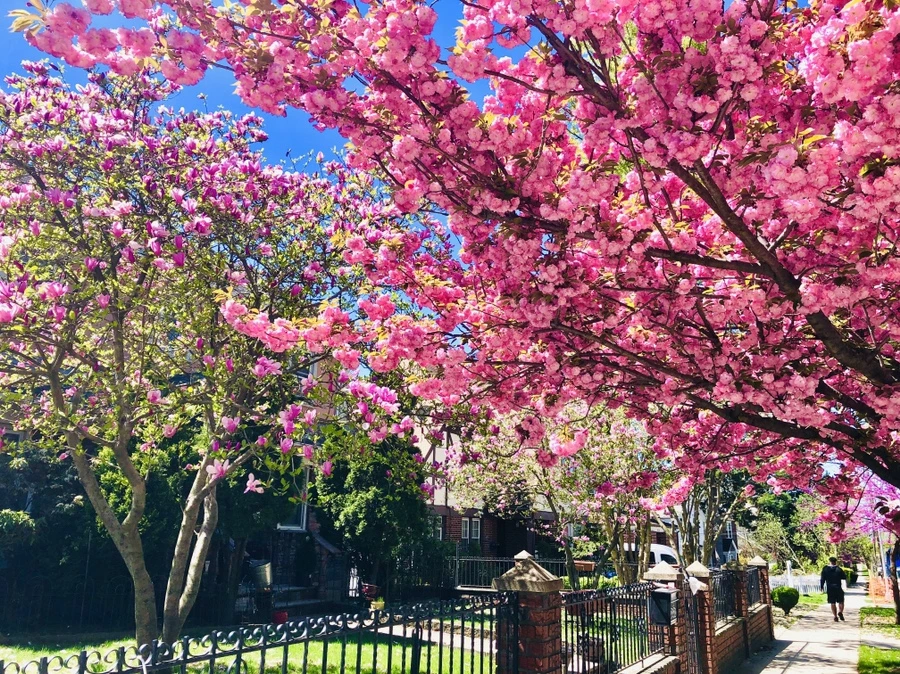 IMG_3517.jpg?type=w966