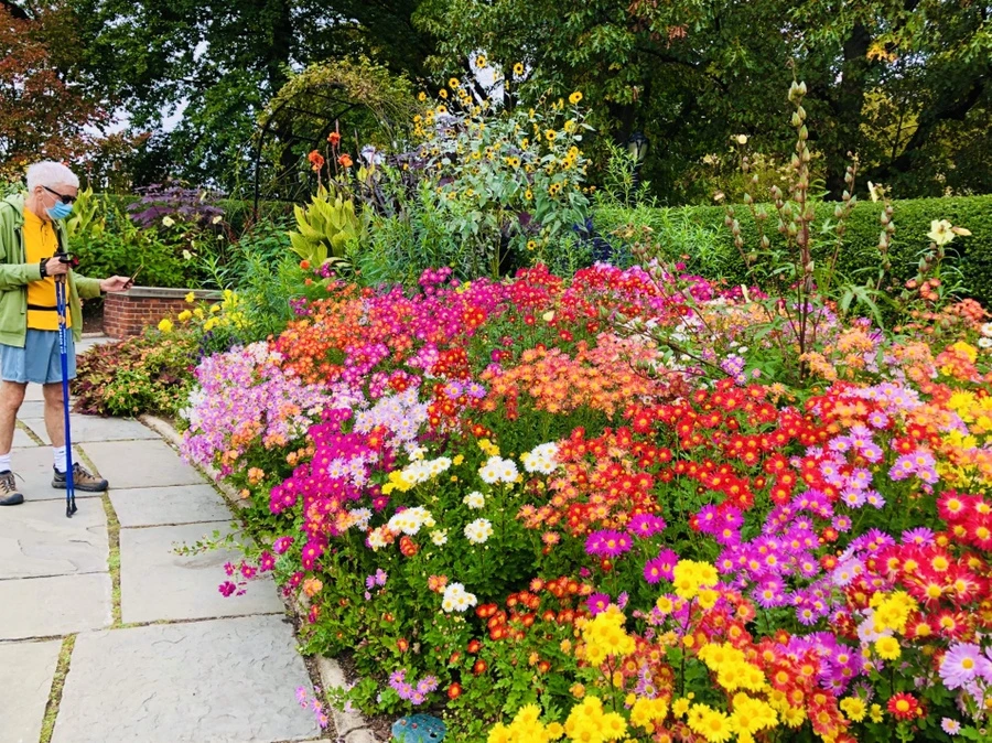 IMG_2516.jpg?type=w966