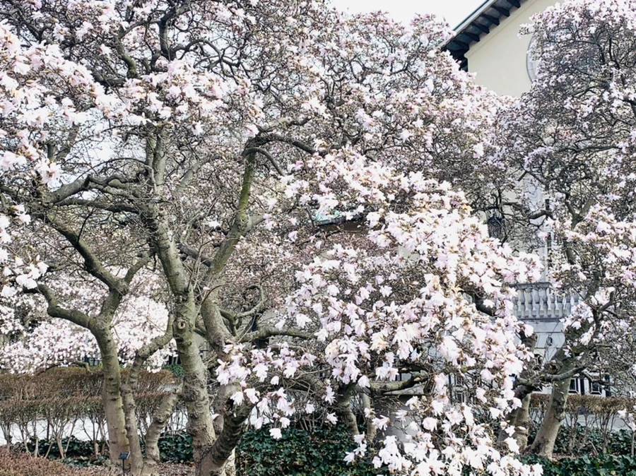 IMG_6522.jpg?type=w966