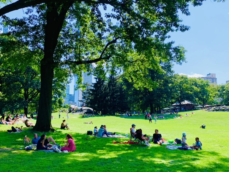 IMG_4429.jpg?type=w966